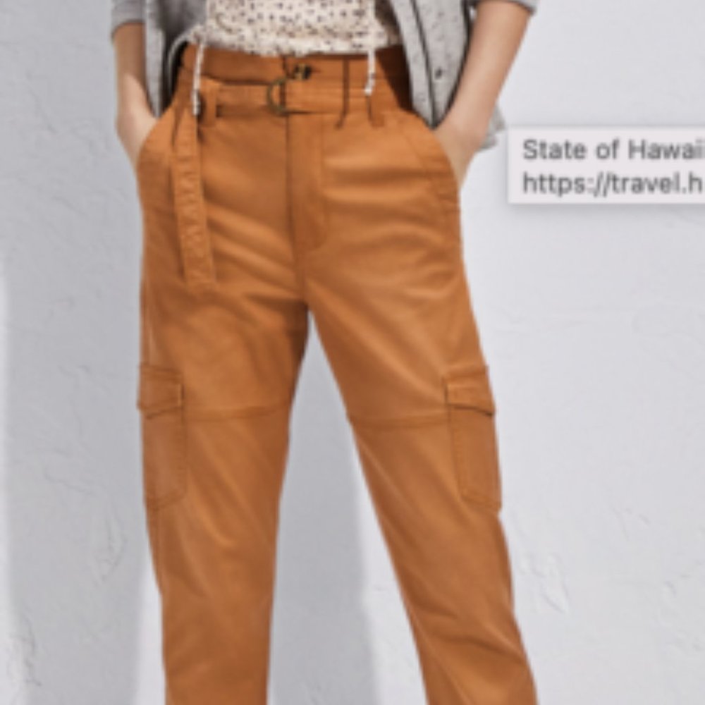 NEW/NEVER WORN CAbi Paper Bag Cargo SPRING 2022